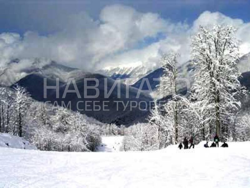 368 - гостевой дом в Красная поляна