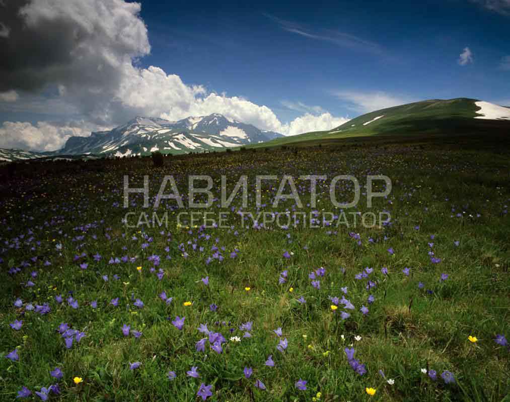 НИКОЛАЙ – гостиница в Каменномостский