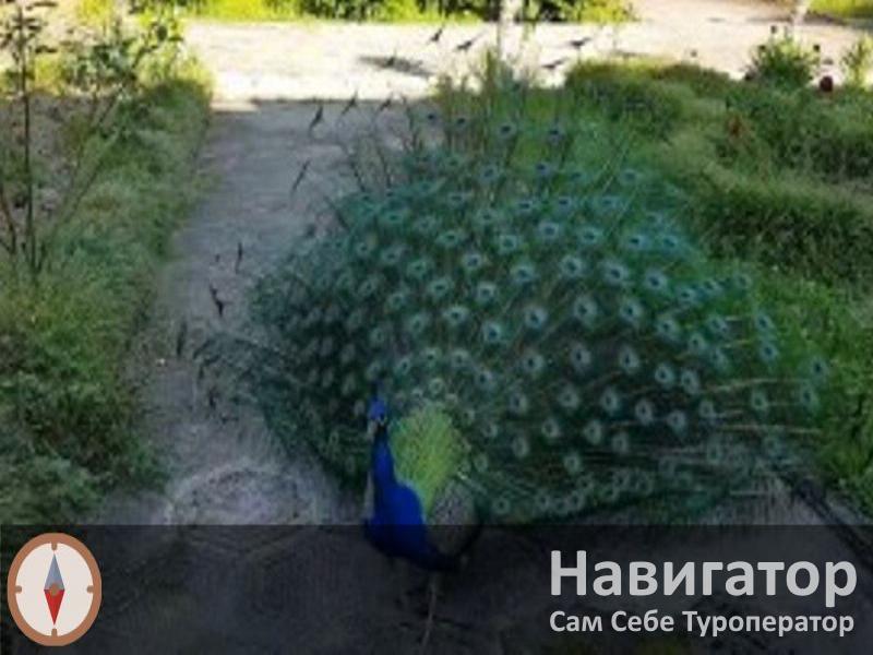АЙТАР - пансионат в Сухум