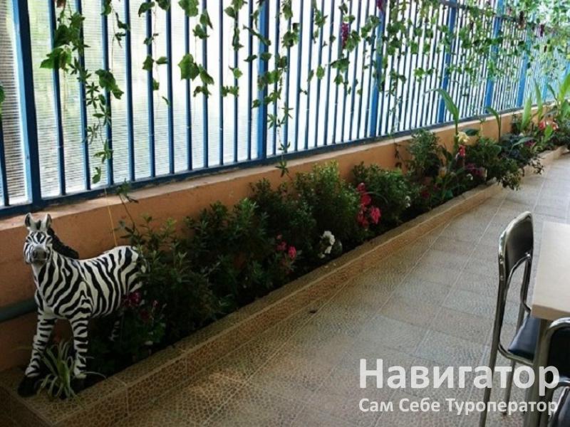 РАДУГА - гостиница в Курортные поселки Лазаревского района