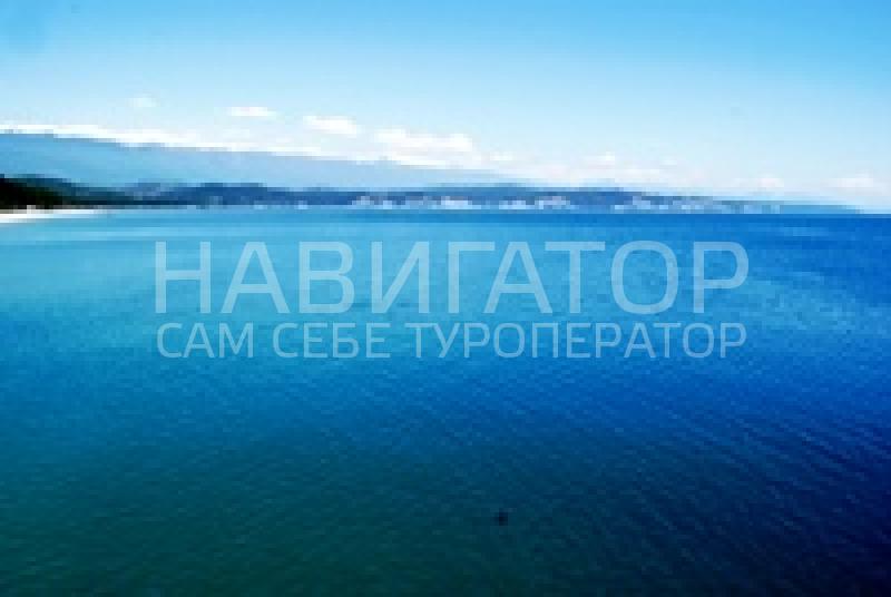 АПАРТАМЕНТЫ у Вальтера в Пицунда