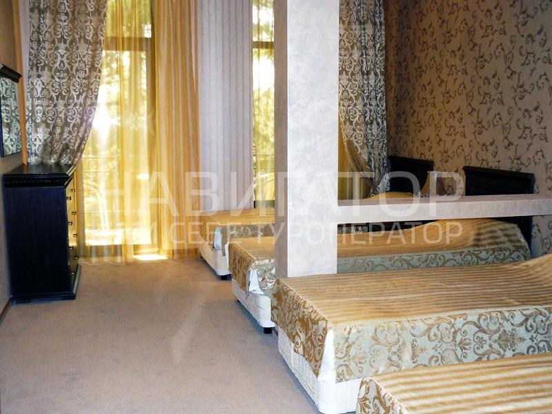 ЗОЛОТОЙ ДЕЛЬФИН - отель в Адлер