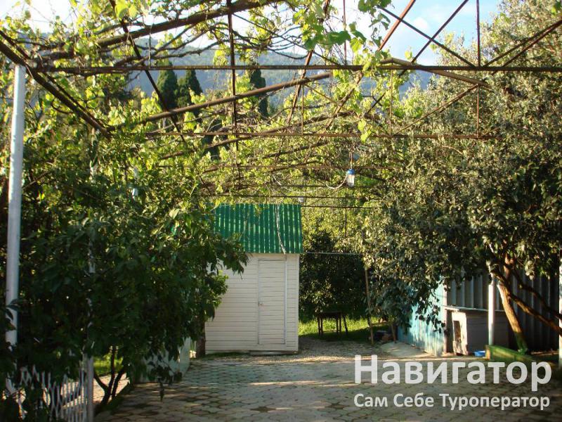 АЛЕКСАНДР - гостевой дом в Новый Афон