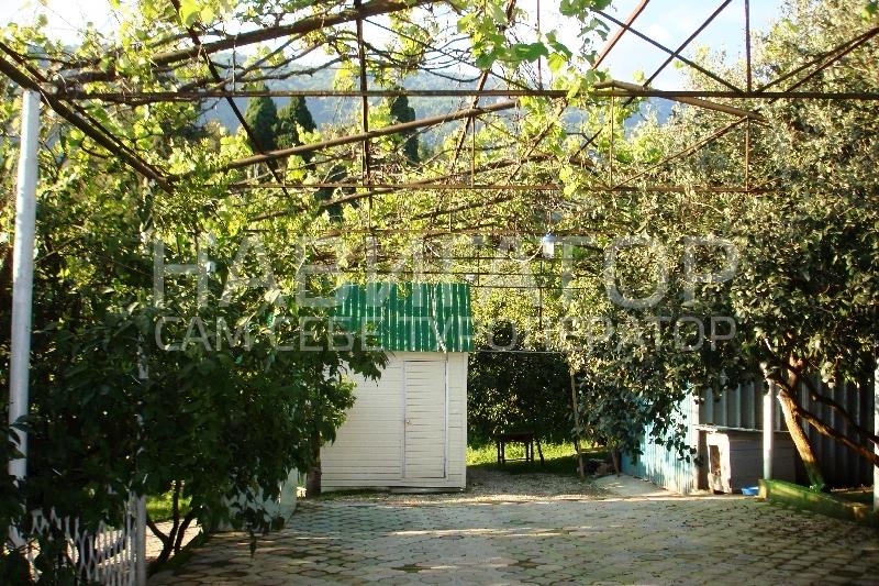 АЛЕКСАНДР - гостевой дом в Новый Афон