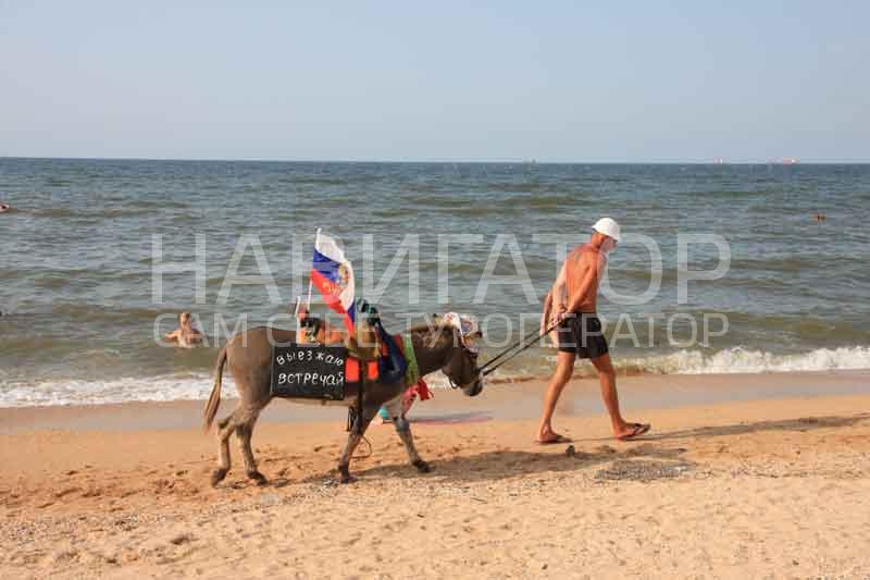 ДОМИКИ - база отдыха в Голубицкая ДОМИКИ - база отдыха в Голубицкая