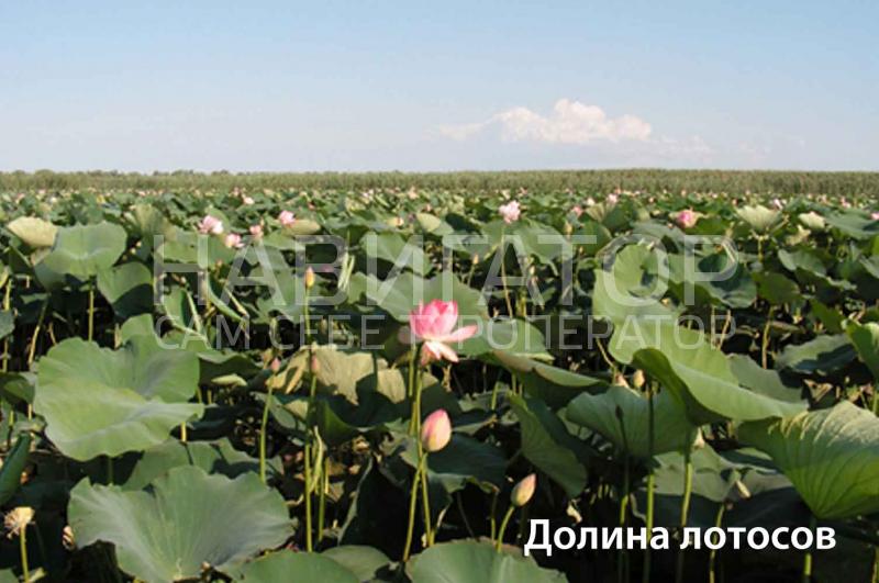 У МОРЯ - гостевой дом в Пересыпь