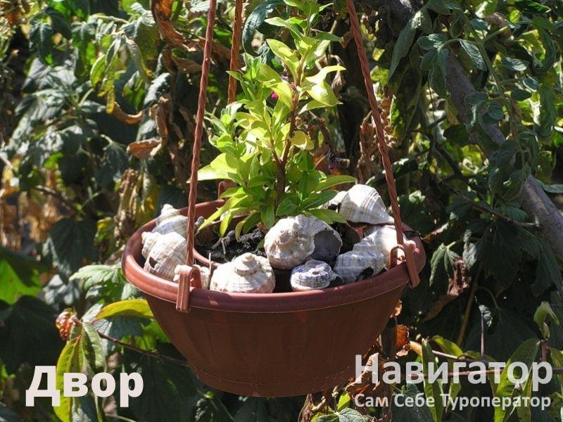 ПОДСОЛНУХ - гостевой дом в Курортные поселки Темрюка