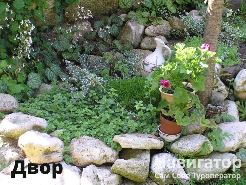 ПОДСОЛНУХ - гостевой дом в Курортные поселки Темрюка