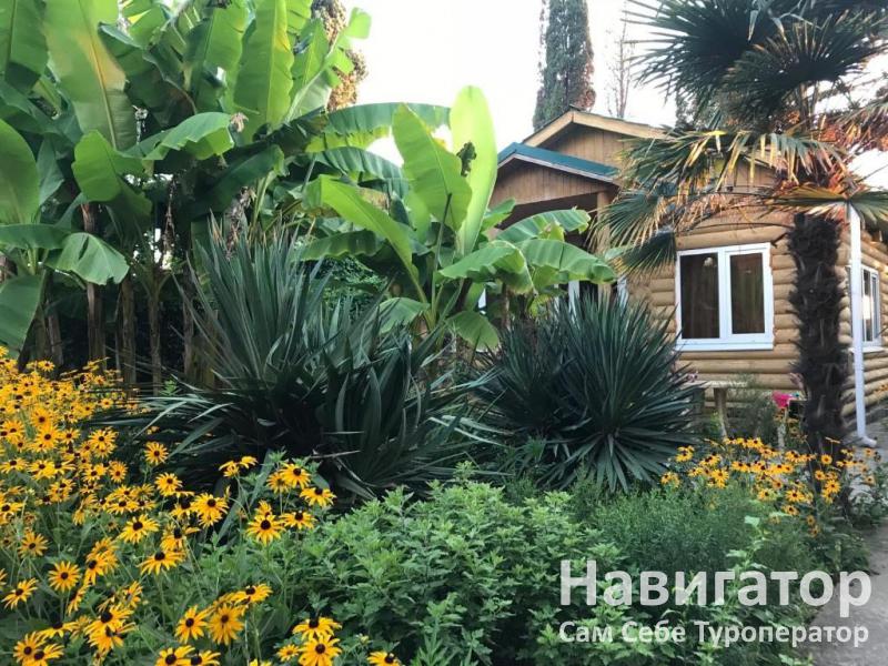 БЕЛОЕ СОЛНЦЕ ПУСТЫНИ - гостевой дом в Пицунда