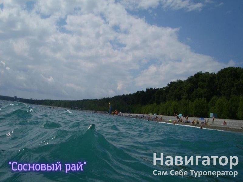 СОСНОВЫЙ РАЙ - гостиница в Пицунда
