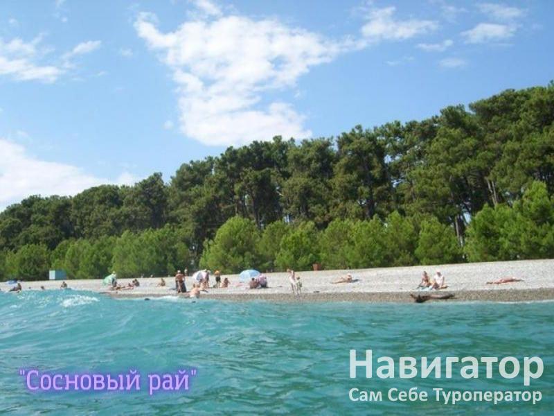СОСНОВЫЙ РАЙ - гостиница в Пицунда