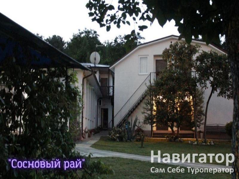 СОСНОВЫЙ РАЙ - гостиница в Пицунда