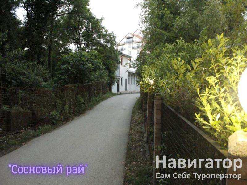 СОСНОВЫЙ РАЙ - гостиница в Пицунда