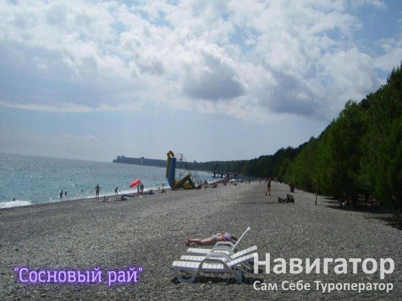 СОСНОВЫЙ РАЙ - гостиница в Пицунда