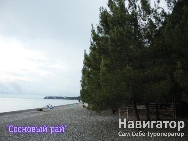 СОСНОВЫЙ РАЙ - гостиница в Пицунда