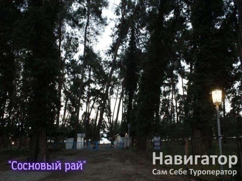 СОСНОВЫЙ РАЙ - гостиница в Пицунда