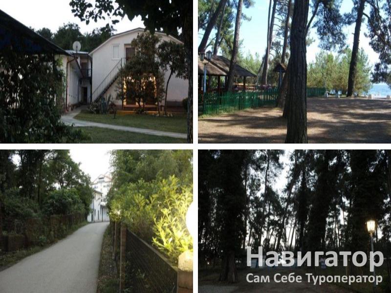 СОСНОВЫЙ РАЙ - гостиница в Пицунда