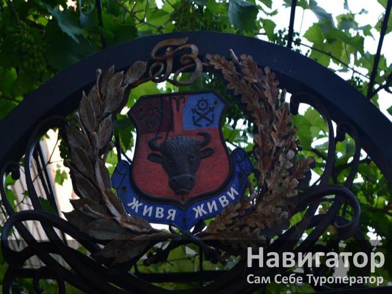ЖИВЯ-ЖИВИ - отель в Геленджик