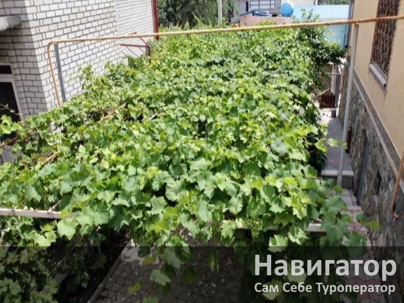 НА ПОЧТОВОЙ - гостевой дом в Геленджик (Тонкий мыс)