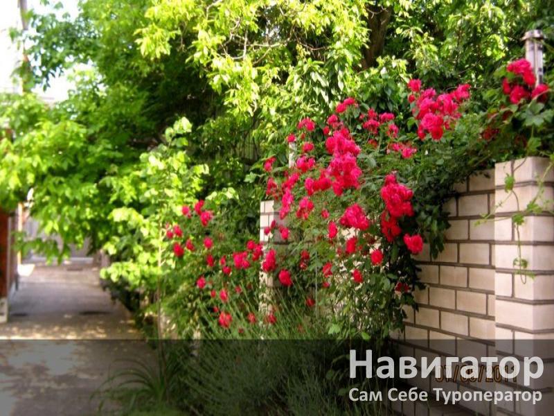 KHRIS - мини-гостиница в Геленджик центр