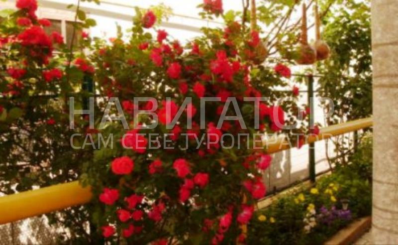 ЛАРИСА - гостевой дом в Витязево