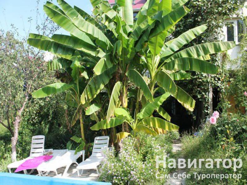 СЕМЕЙНЫЙ - пансионат в Курортные поселки Лазаревского района