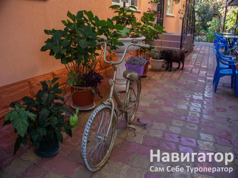 МАРГО - отель в Лазаревское