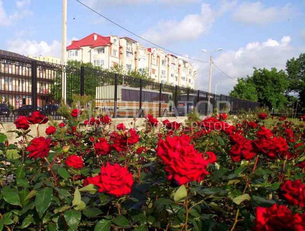 АВИТА - гостиница в Анапа