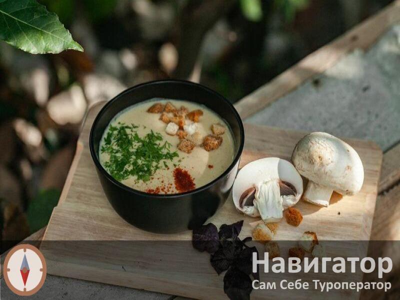 У ЯНЫ - гостевой дом в Цандрыпш пос.