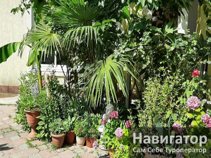 РАФАЭЛЬ - гостевой дом в Адлер