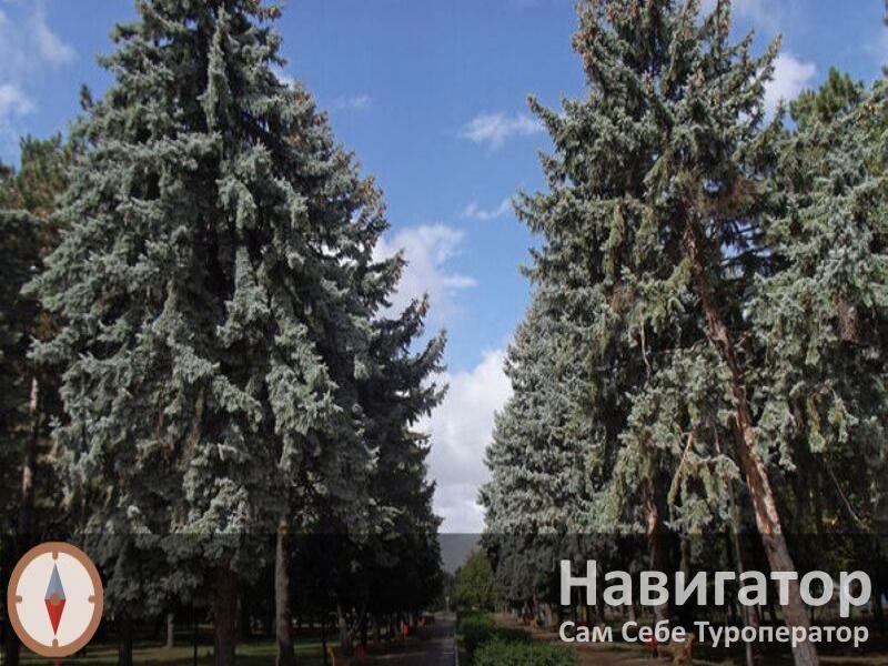 БЫСЫМ - гостиница в Нальчик