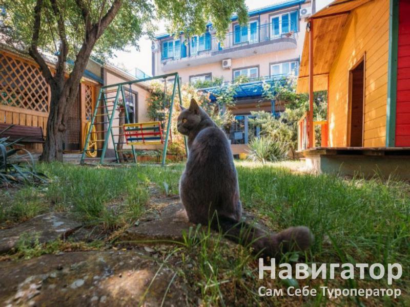 МЕЧТЫ СБЫВАЮТСЯ - мини-гостиница в Анапа