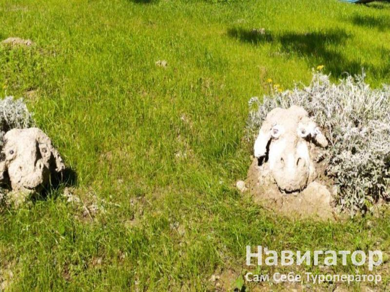 ОЗЕРЕЕВКА- база отдыха в Южная Озереевка пос.