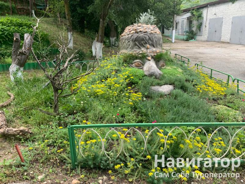 ОЗЕРЕЕВКА- база отдыха в Южная Озереевка пос.