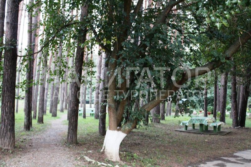 КОРДОН- база отдыха в Мостовской район КОРДОН- база отдыха в Мостовской район