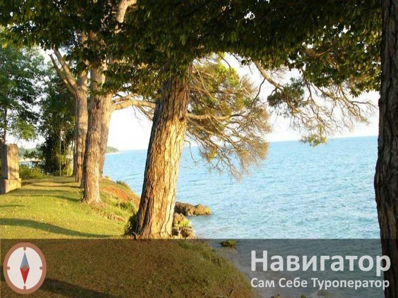 КОРАЛЛ - мини-гостиница в Гудаута