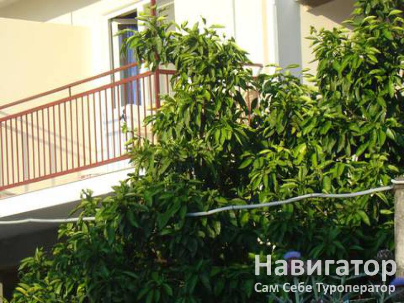 БРИГАНТИНА - гостевой дом в Курортные поселки Лазаревского района