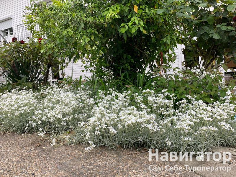СВОБОДА - гостиница в Курортные поселки Лазаревского района