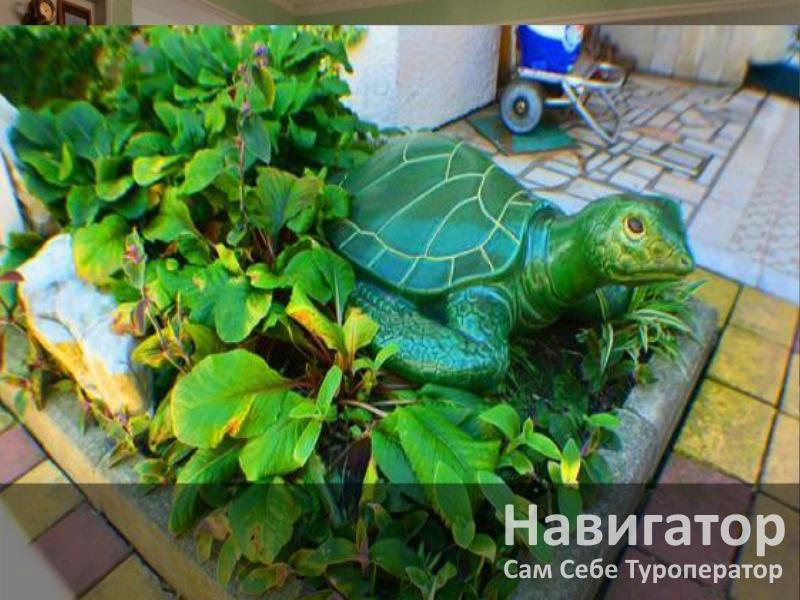 СВЕТЛАНА - гостевой дом в Адлер