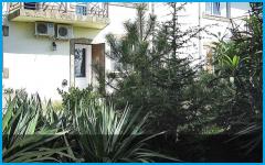 ЧЕРНОЕ МОРЕ - гостевой дом в Алупка
