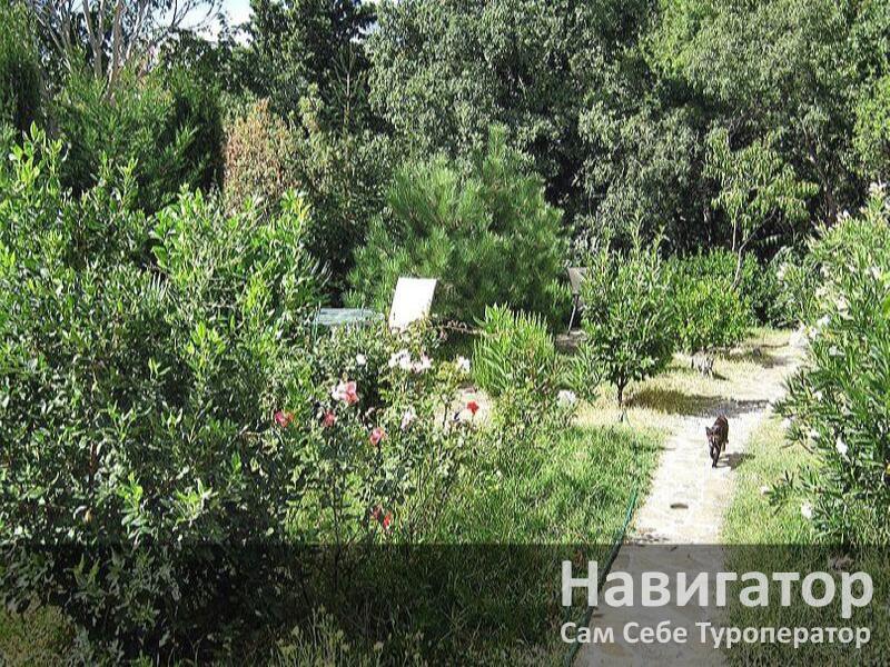 ЧЕРНОЕ МОРЕ - гостевой дом в Алупка