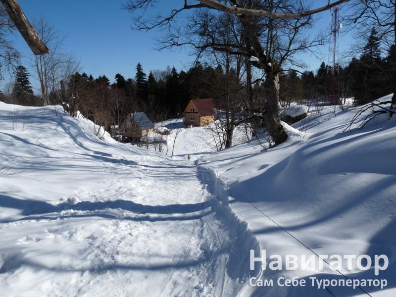 СОСНОВАЯ ТЕРРАСА- база отдыха в Автодорога Даховская - Лаго-Наки
