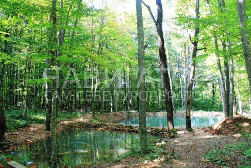 РОДНИК в Автодорога Даховская - Лаго-Наки