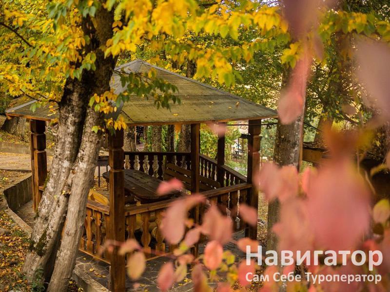 ФЕНИКС - туристический комплекс в Хамышки с.