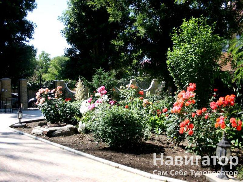 ОРХИДЕЯ - гостиница в Феодосия