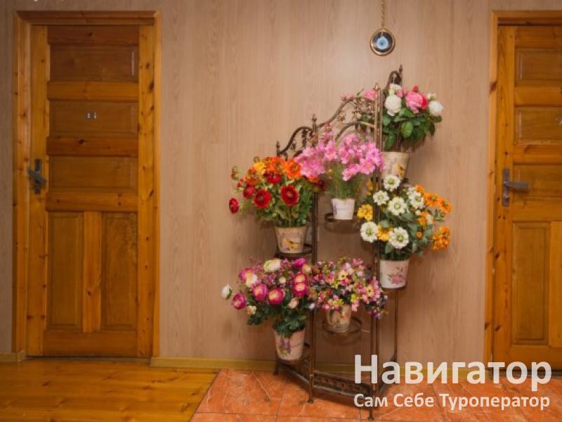 ТАТЬЯНА - гостиница в Адлер ТАТЬЯНА - гостиница в Адлер