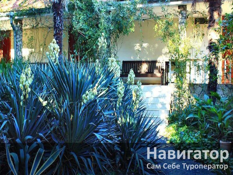 ЛЕТНИЙ ДВОРИК - пансионат в Алупка