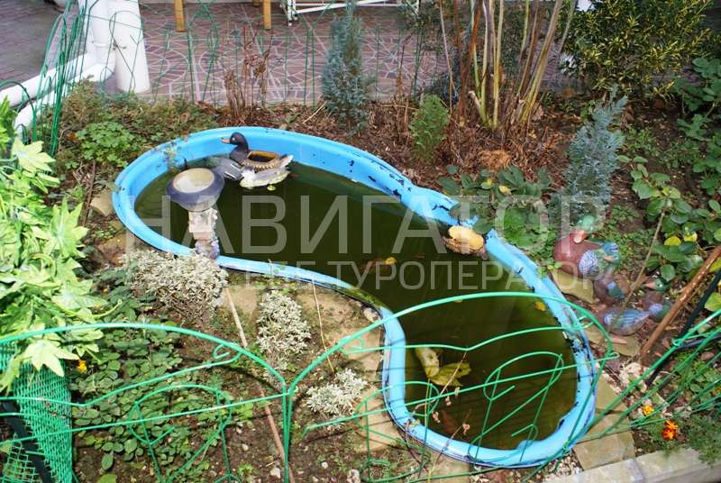 СОЛНЕЧНЫЙ ДАГОМЫС - гостевой дом в Дагомыс
