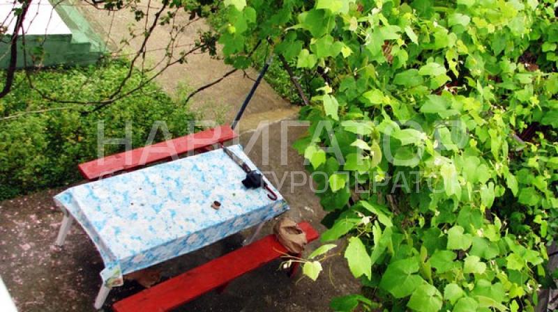 7182 - гостевой дом в Новый Афон