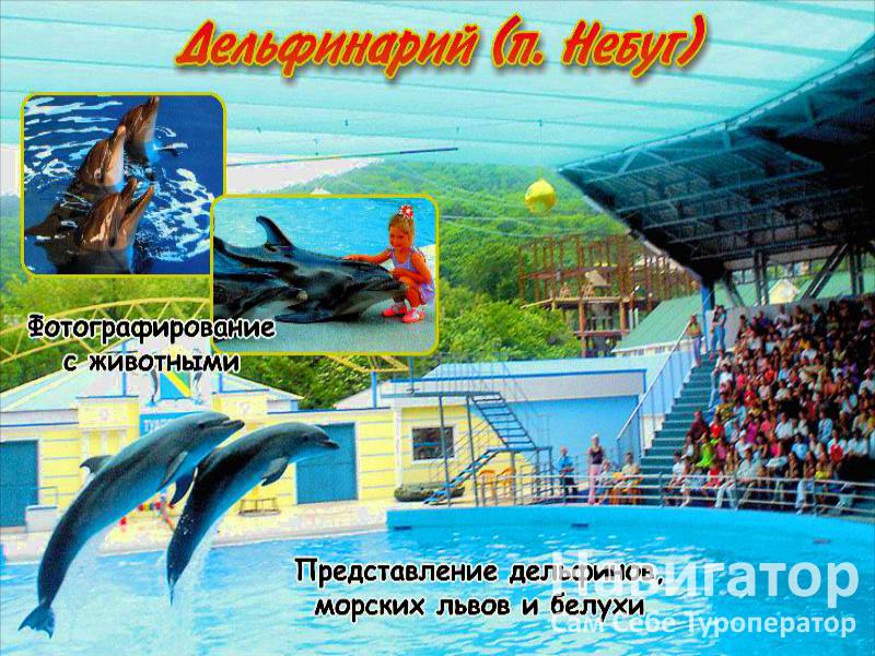 БУРЕВЕСТНИК - пансионат в Курортные поселки Лазаревского района